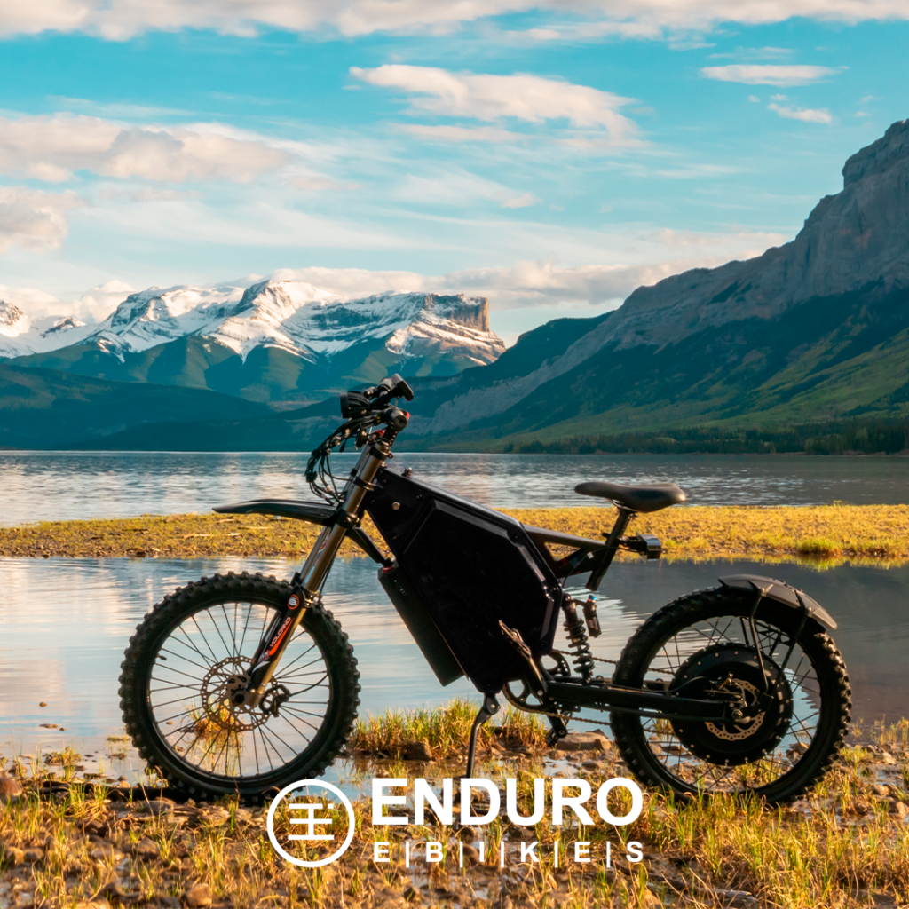 Ebikes Fun Facts 朗 ENDURO EBIKES Canada