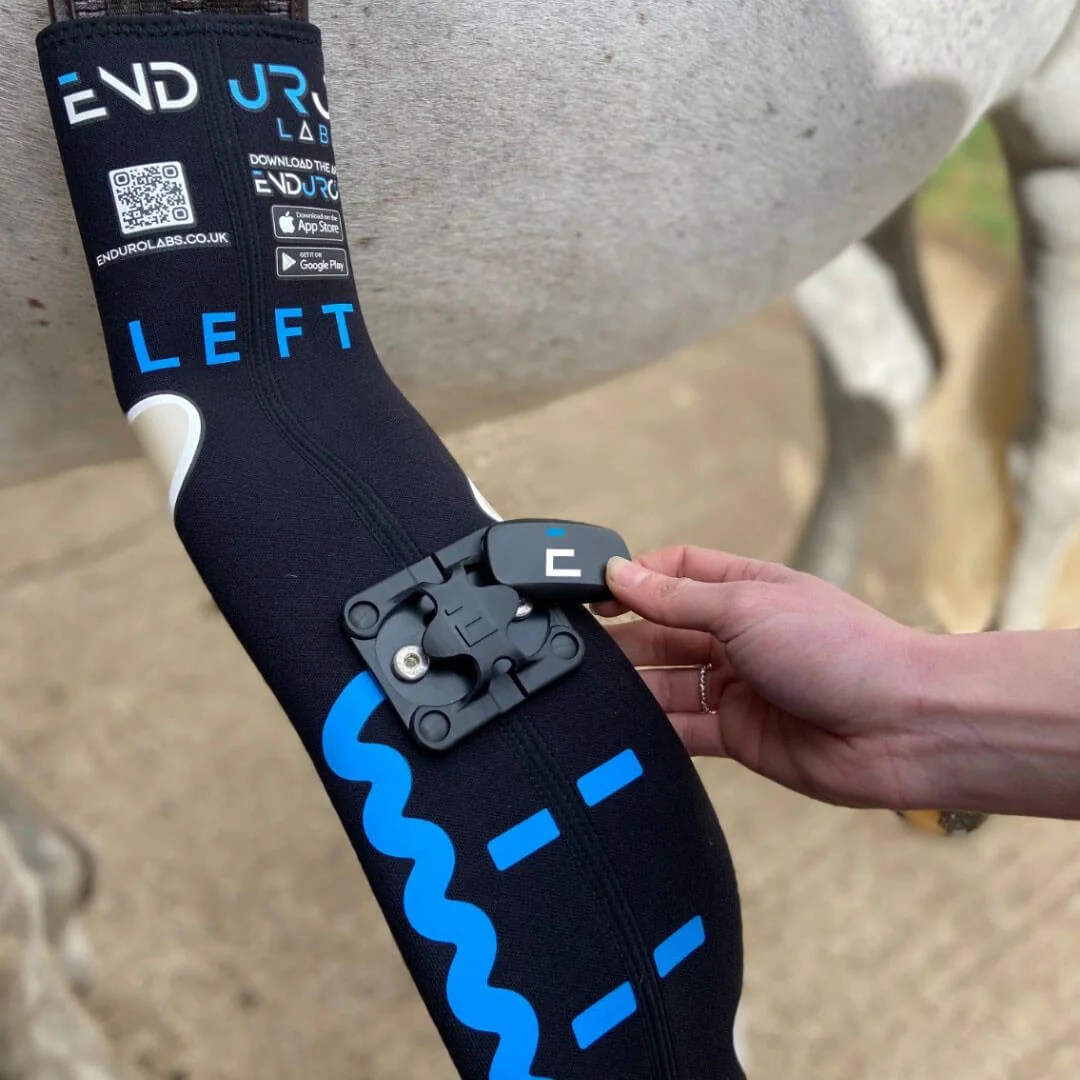 Heart Rate Monitoring For The Endurance Horse EnduroEquine