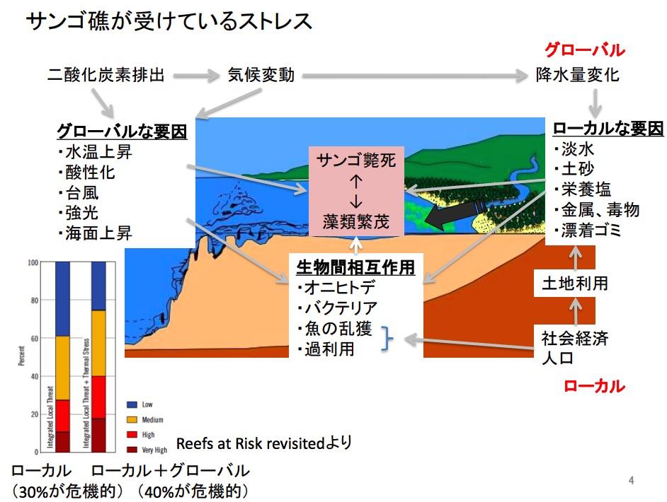 エネルギーと私たちの暮らし Vol.16 最新技術でサンゴ礁を保全 エネフロ
