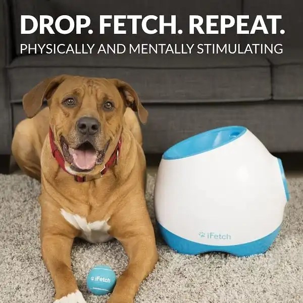 The Ultimate Guide to Dog Ball Launchers Unleash the Fun