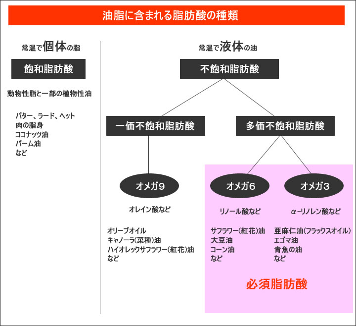 動物性脂肪と植物性脂肪はどっちが体にいいの？ AdvancedLIFE