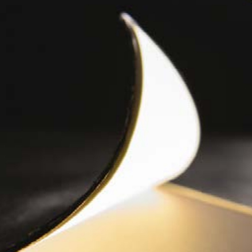 Lighting Energy and Efficiency Institute