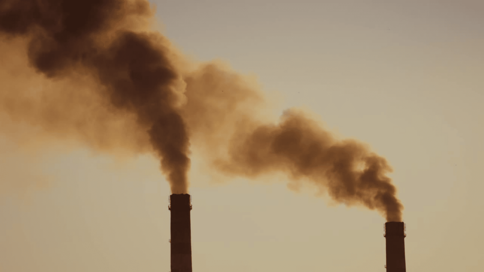 Australian Energy Market August 2022 Energy Action