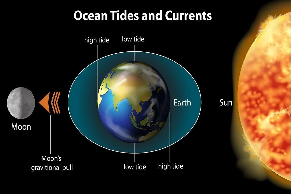 4 Major Advantages and Disadvantages of Tidal Energy Energy Theory