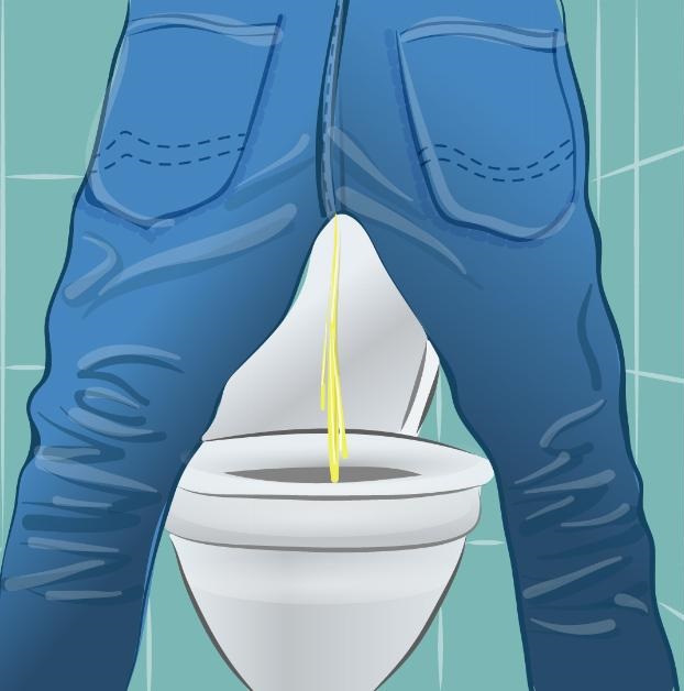 Termos Técnicos Sistema Urinário