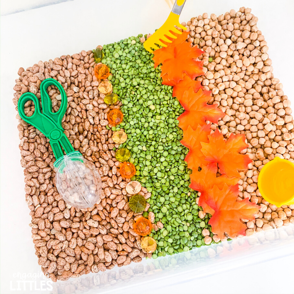 A Fall Sensory Bin for Littles Engaging Littles