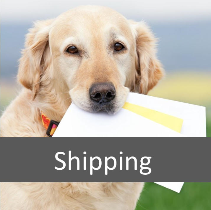 Shipping Engaging Pet Products