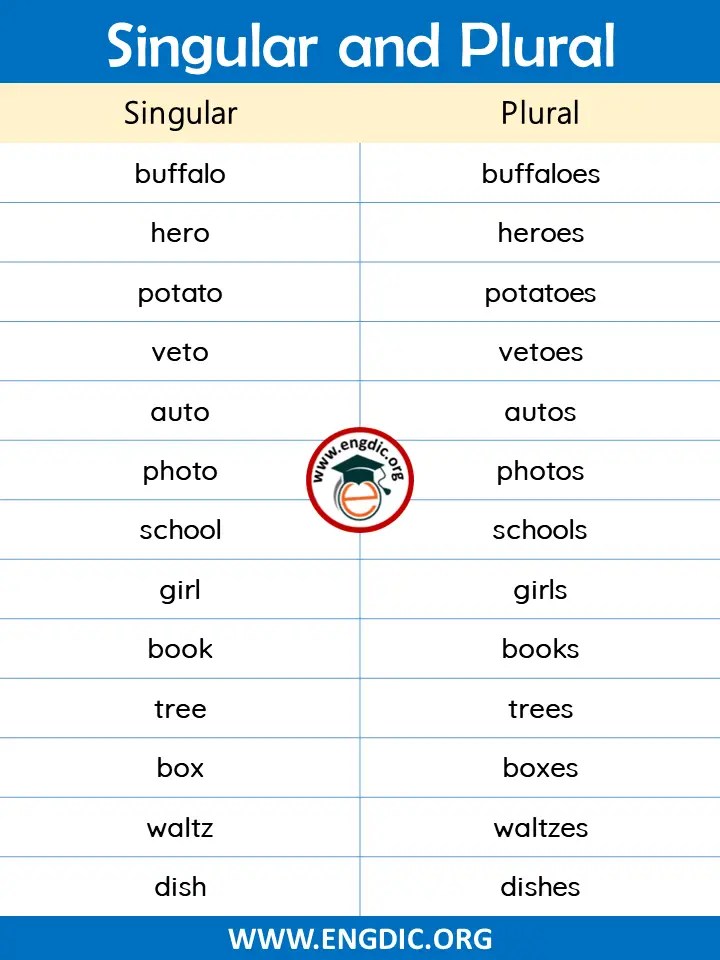 Singular and Plural Noun Rules in English Grammar Engdic