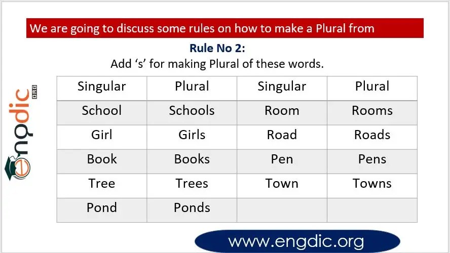 Singular and Plural Noun Rules in English Grammar Engdic