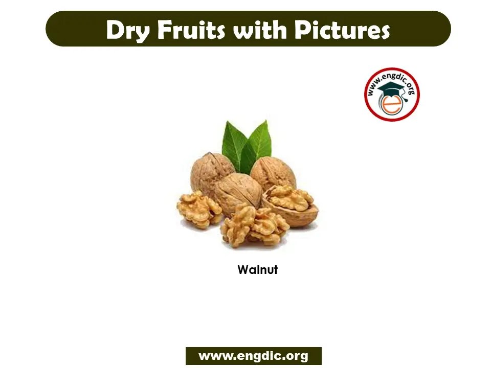 24+ Most Popular Dry Fruits Name List with Pictures EngDic