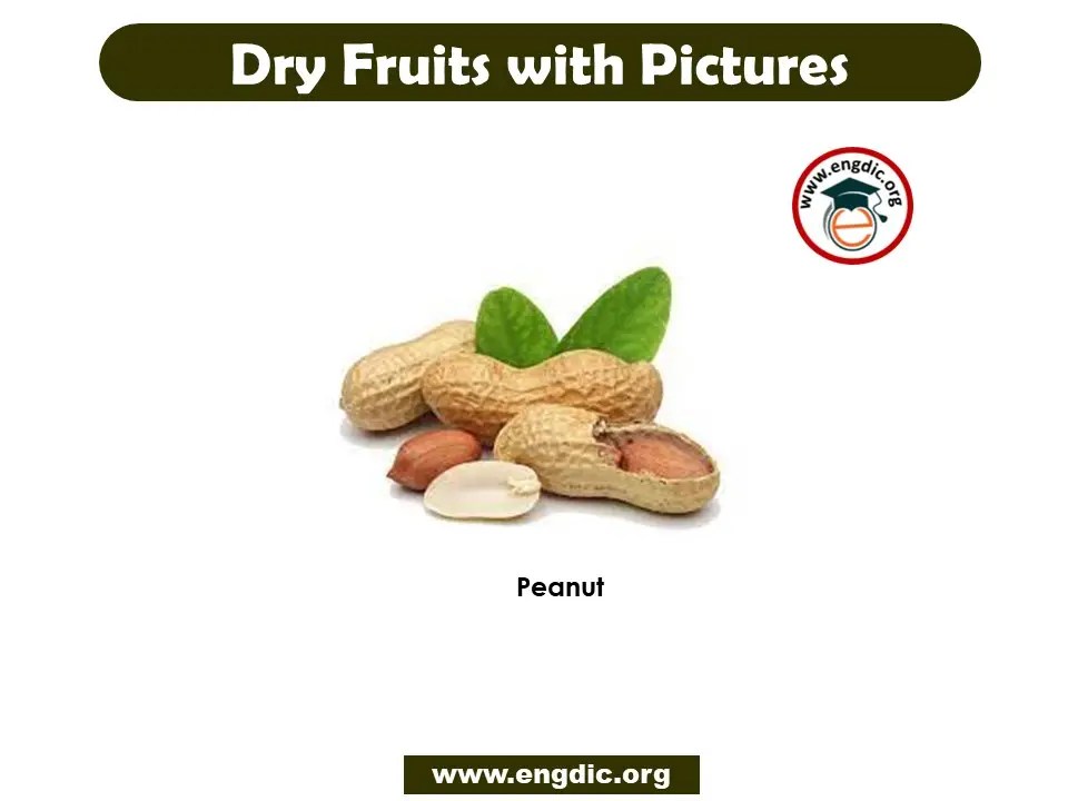 24+ Most Popular Dry Fruits Name List with Pictures EngDic
