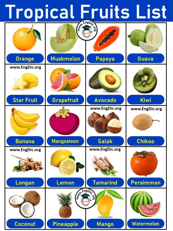 List of Tropical Fruits in English with Pictures & PDF EngDic