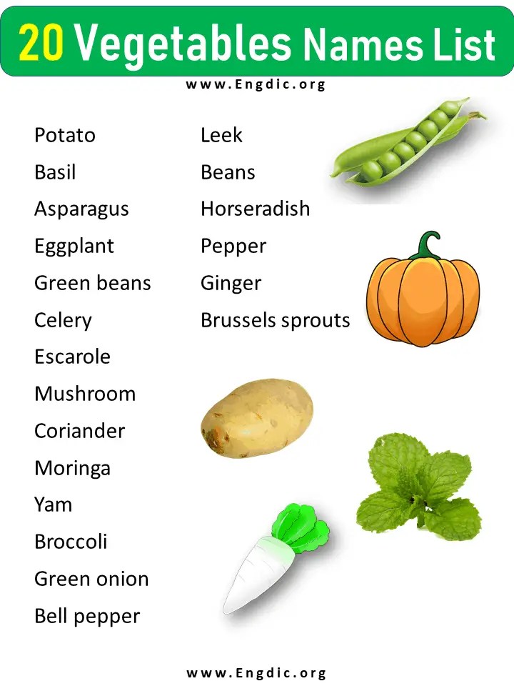 20 Vegetables Names List (Most Popular) EngDic