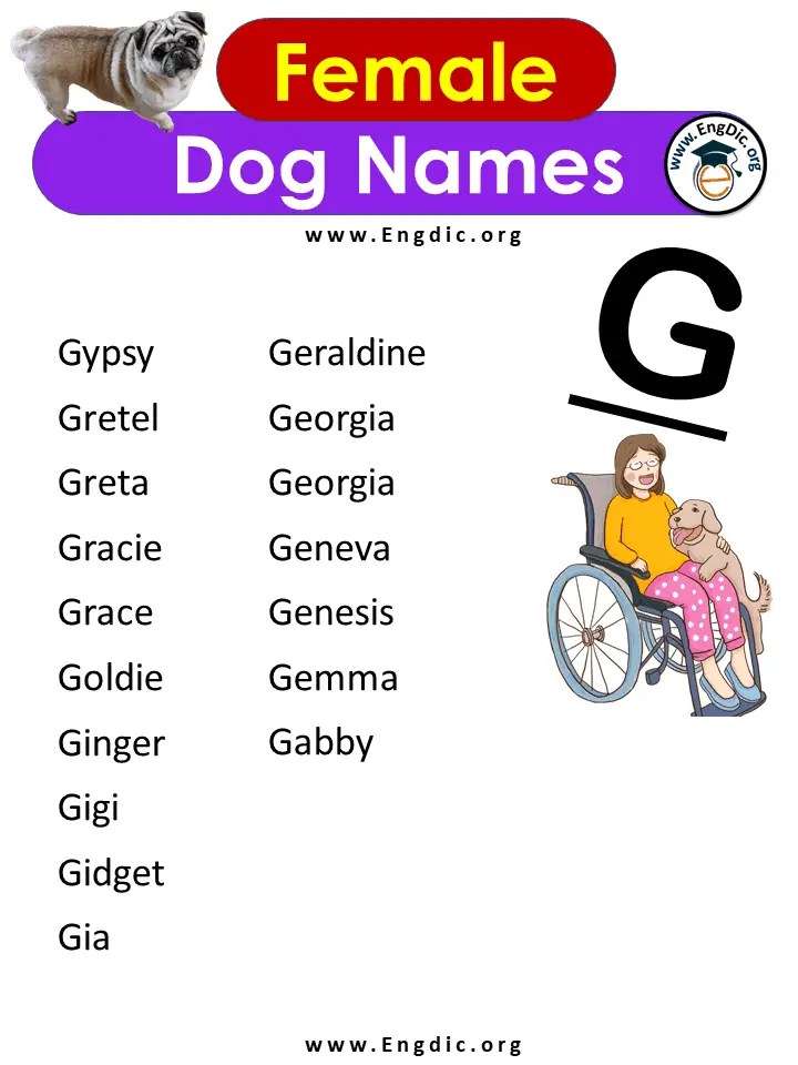 500+ Most Popular Girl Dog Names, AZ Female Dog Names EngDic