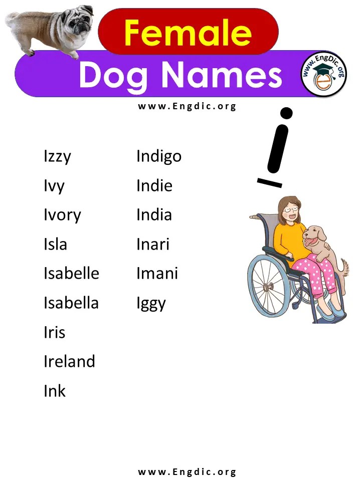 500+ Most Popular Girl Dog Names, AZ Female Dog Names EngDic