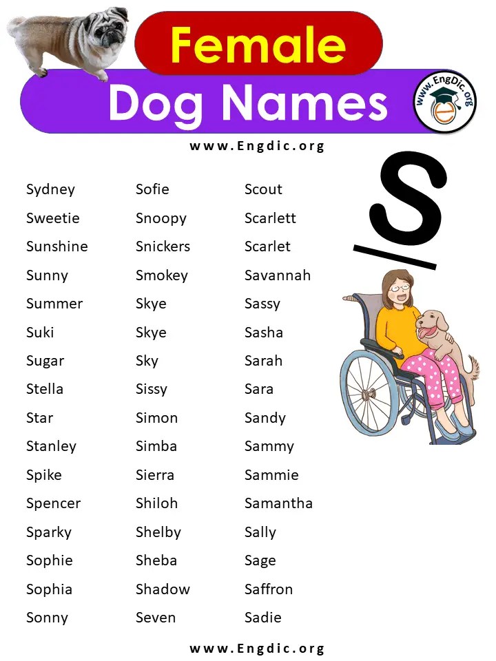 500+ Most Popular Girl Dog Names, AZ Female Dog Names EngDic