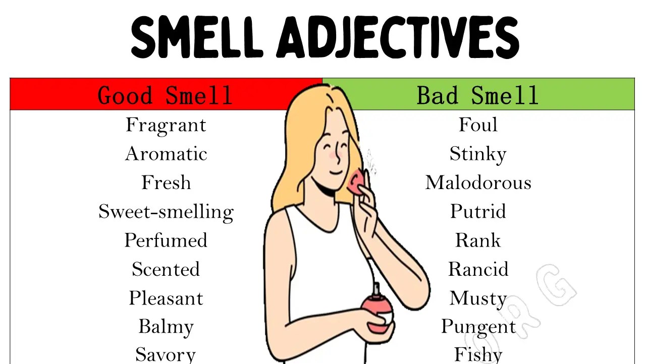 Adjective of Smell, Good and Bad Smell Adjectives EngDic