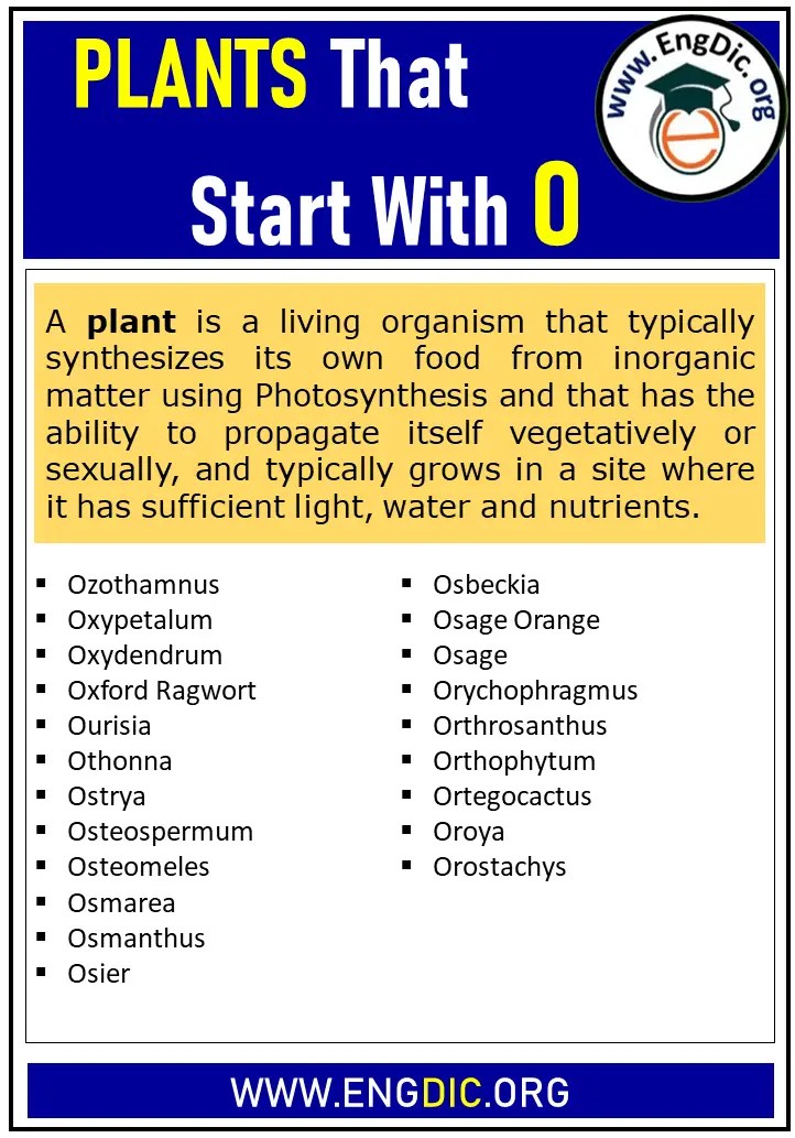 1000+ Plants That Start With O List) EngDic