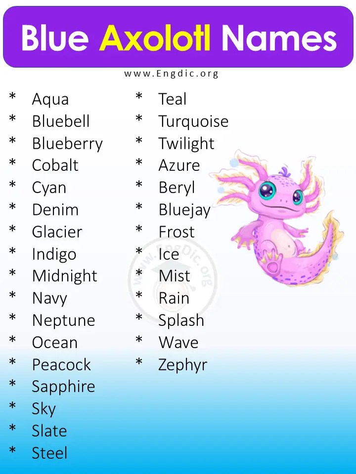 400+ Best Pet Axolotl Names (Male, Female), Cute Axolotl Names EngDic