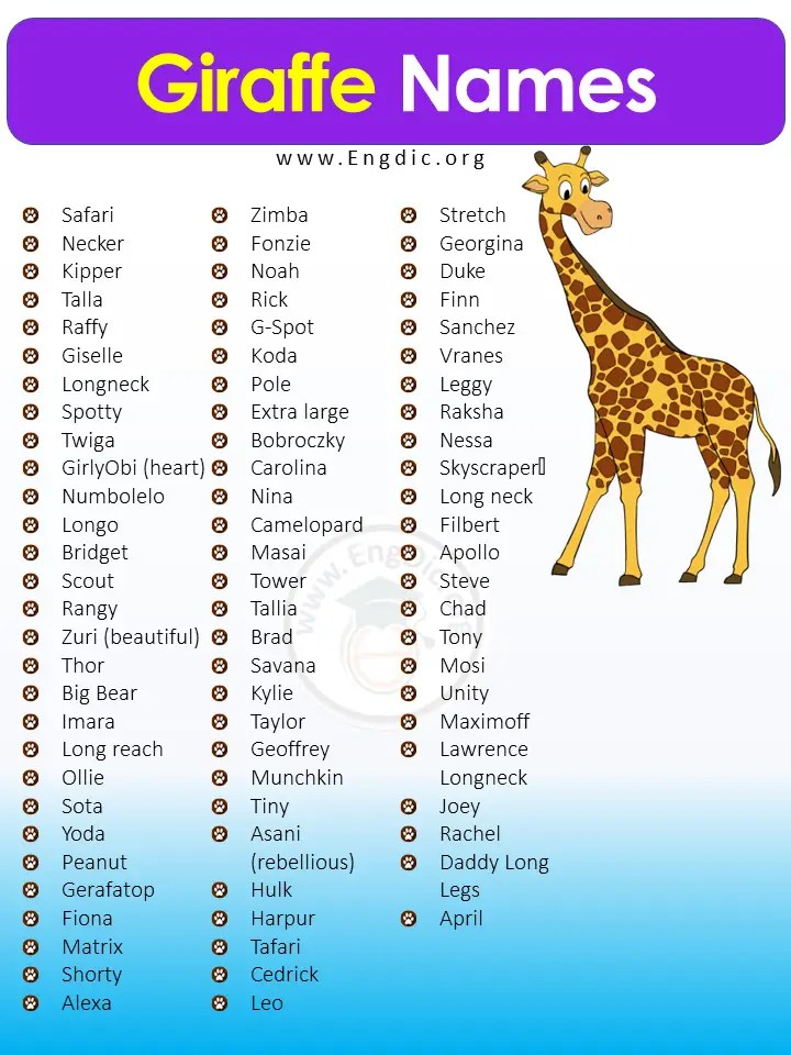 300+ Giraffe Names (Male, Female) & Baby Name For Giraffe EngDic