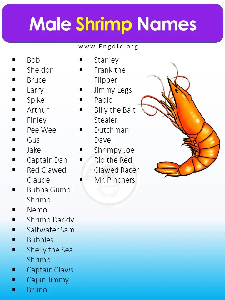200+ Best Pet Shrimp Names (Cute and Funny) EngDic
