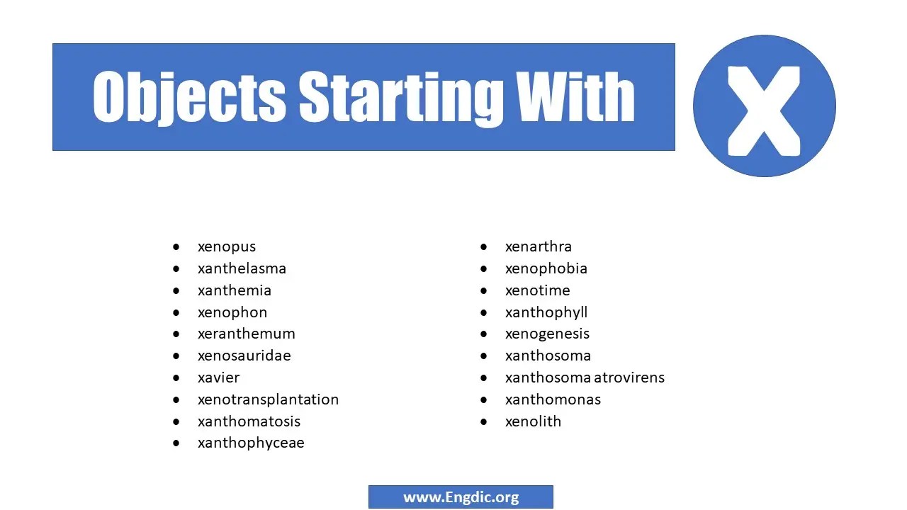 List Of Objects That Start With X EngDic