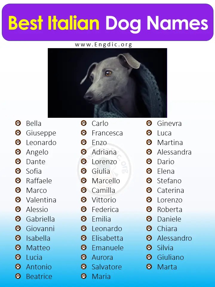 300+ Best Italian Dog Names (Male, Female) EngDic