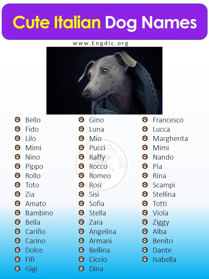 300+ Best Italian Dog Names (Male, Female) EngDic