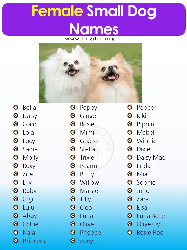 Indian Dog Names