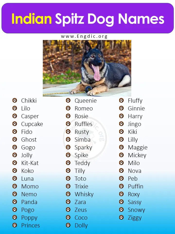 400+ Cute Indian Dog Names (Male, Female, Pups) EngDic