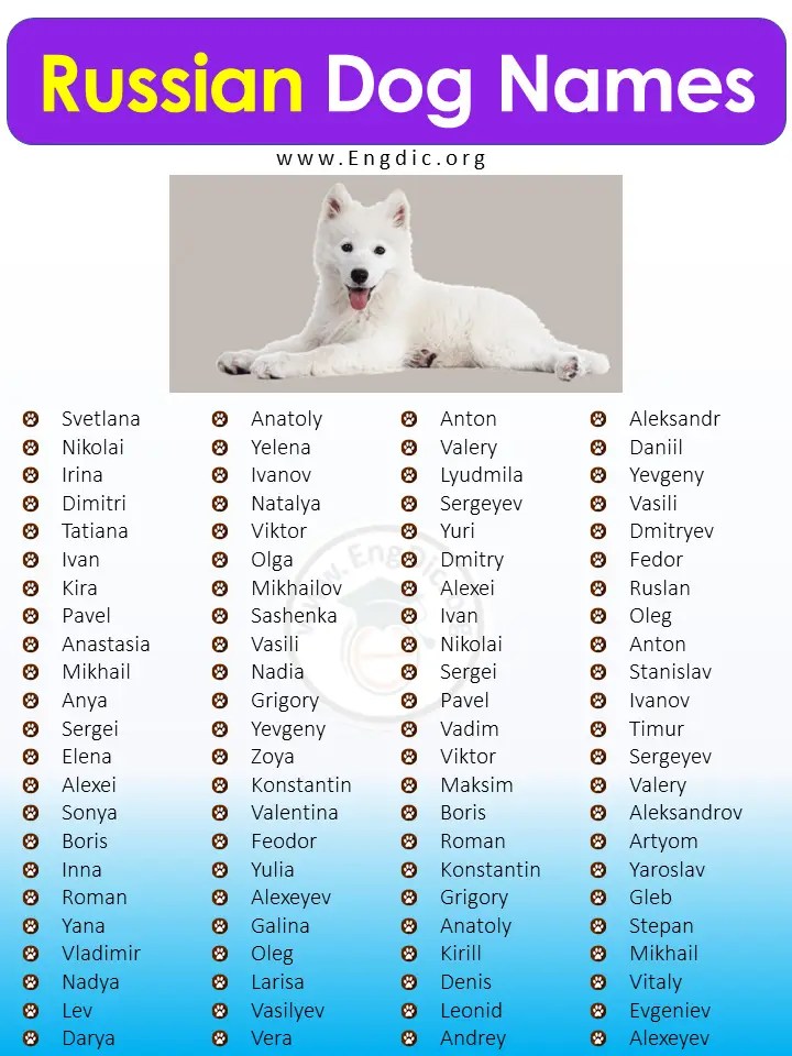 300+ Most Popular Russian Dog Names (Male, Female) EngDic