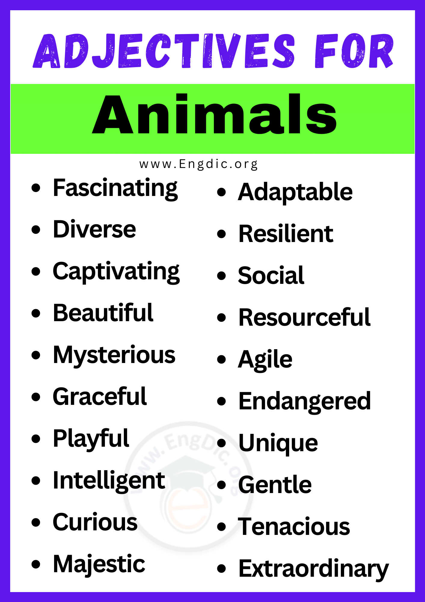 20+ Best Words to Describe Animals, Adjectives for Animals - EngDic