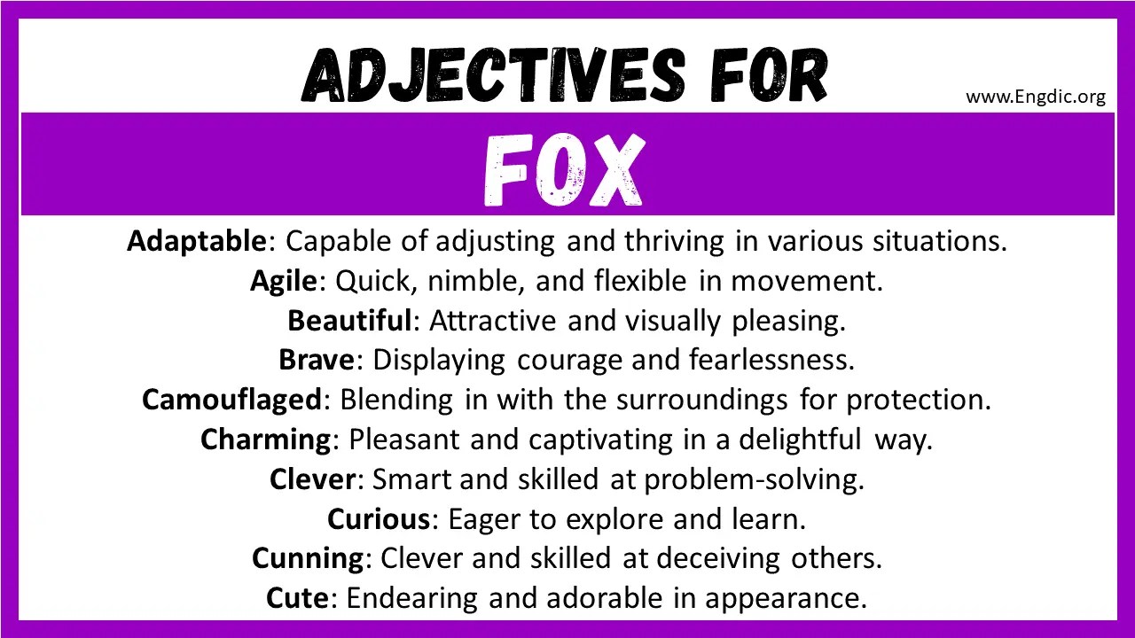 20+ Best Words to Describe Fox, Adjectives for Fox EngDic