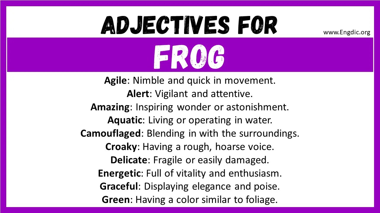 20+ Best Words to Describe Frog, Adjectives for Frog EngDic