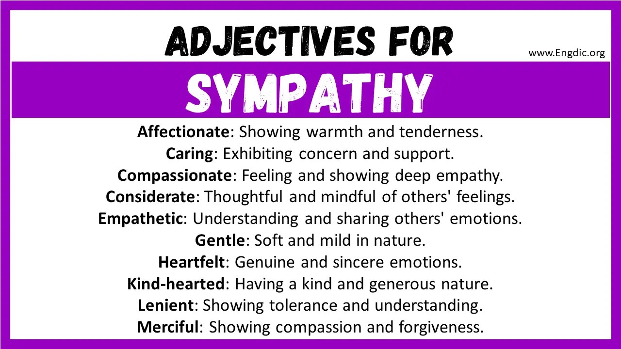 20+ Best Words to Describe Sympathy, Adjectives for Sympathy EngDic