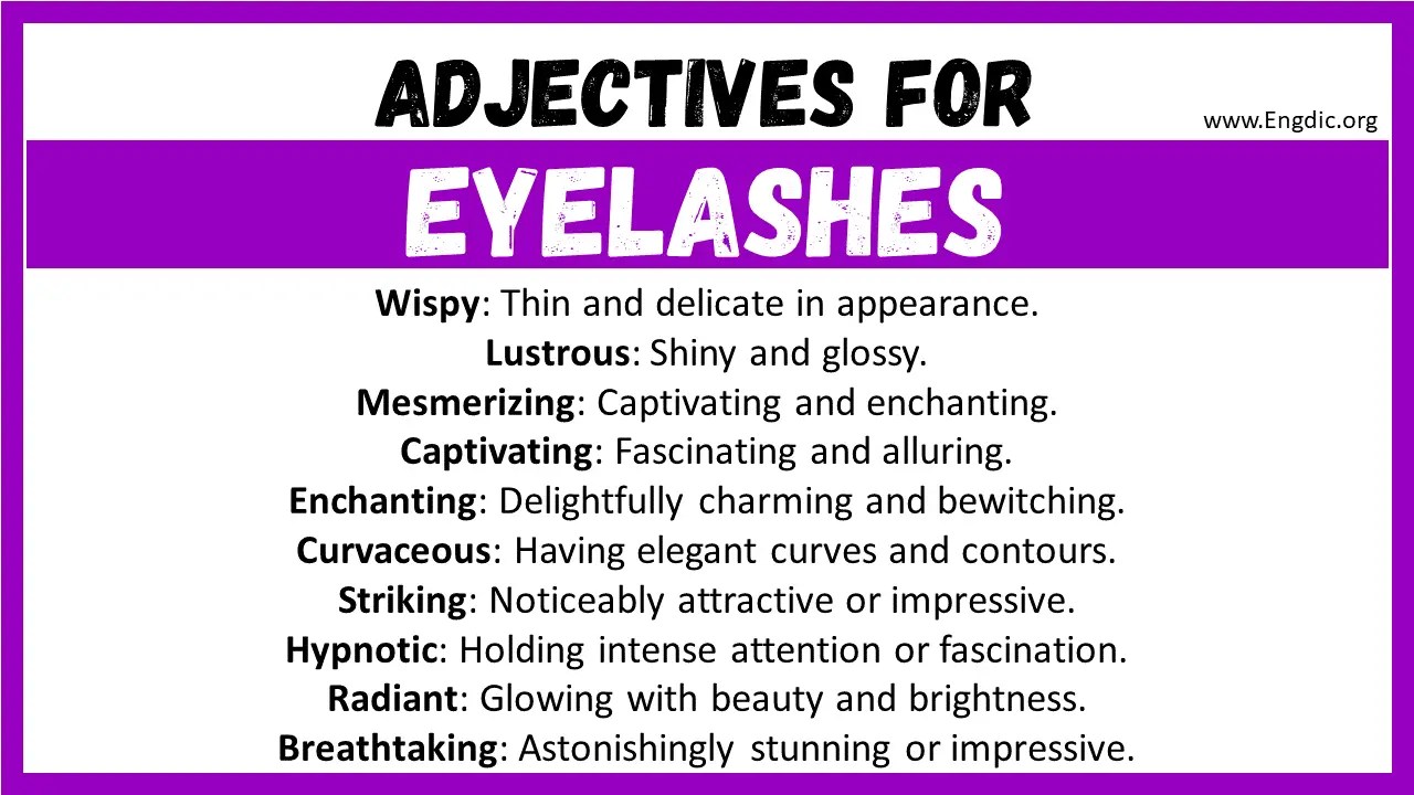 20+ Best Words to Describe Eyelashes, Adjectives for Eyelashes EngDic