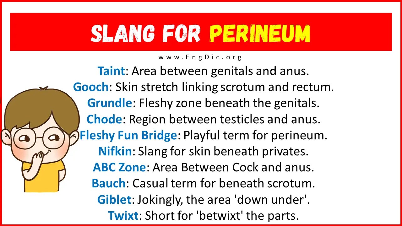 30+ Slang for Perineum (Their Uses & Meanings) EngDic