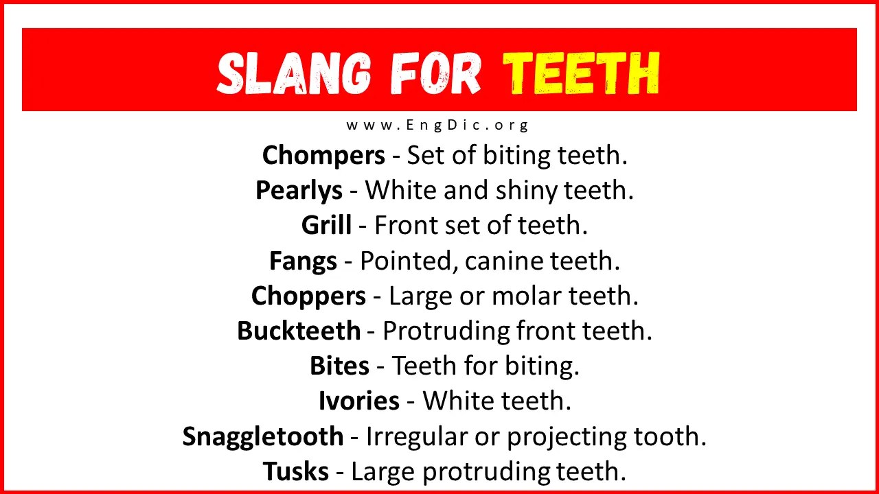 30+ Slang for Teeth (Their Uses & Meanings) EngDic