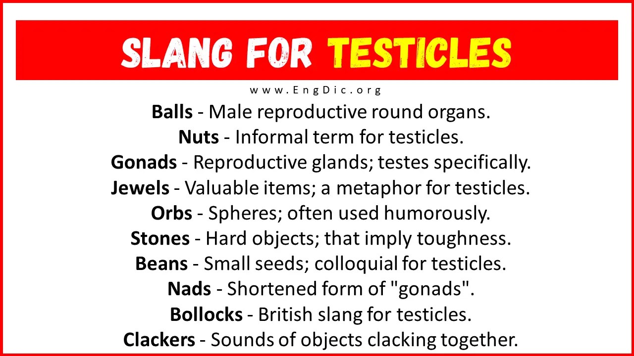 30+ Slang for Testicles (Their Uses & Meanings) EngDic