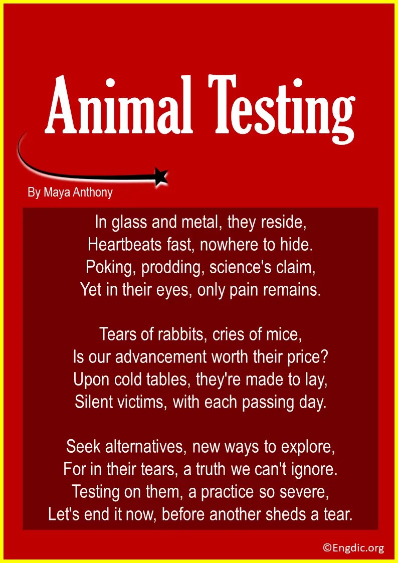 10 Short Animal Testing Poems Stop Animals Testing EngDic