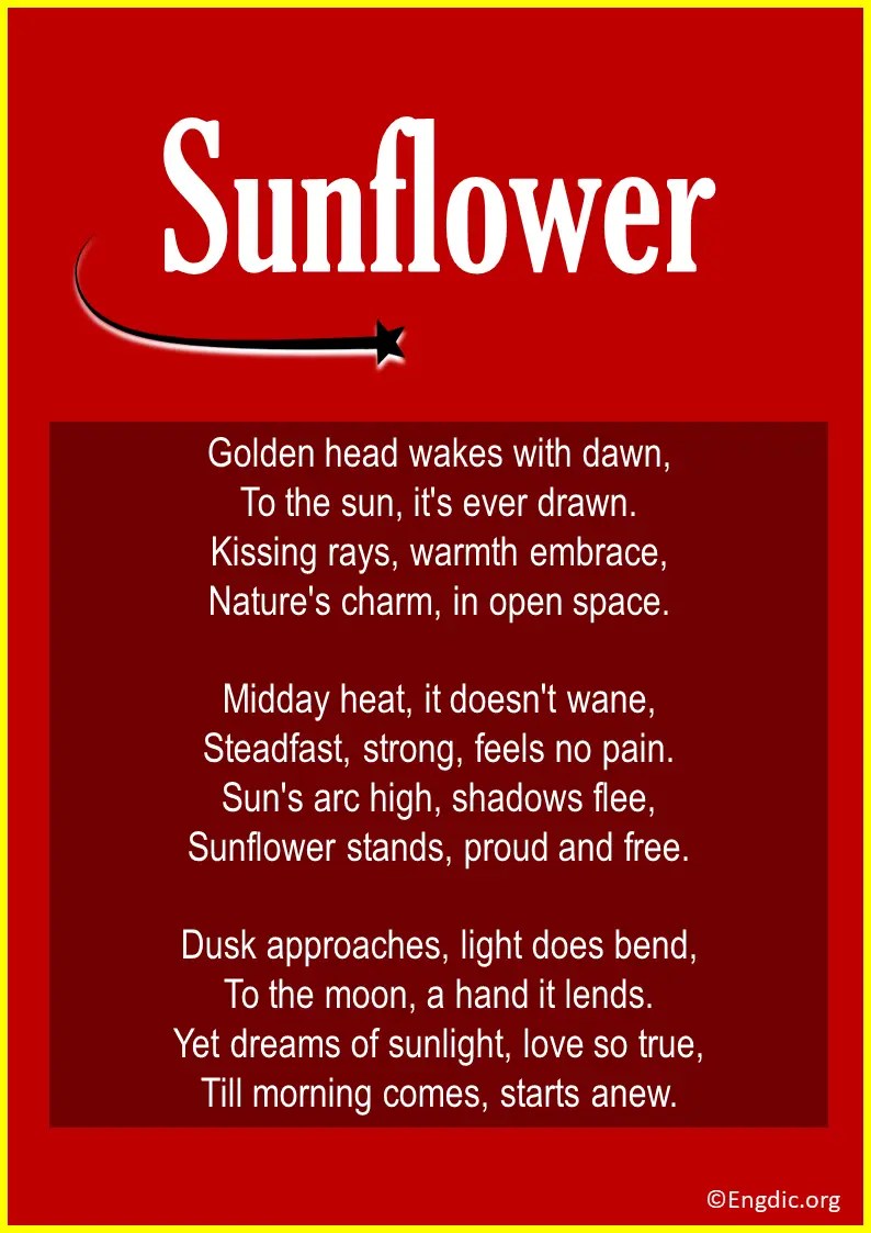 10 Best Poems About Sunflowers (For Her) EngDic