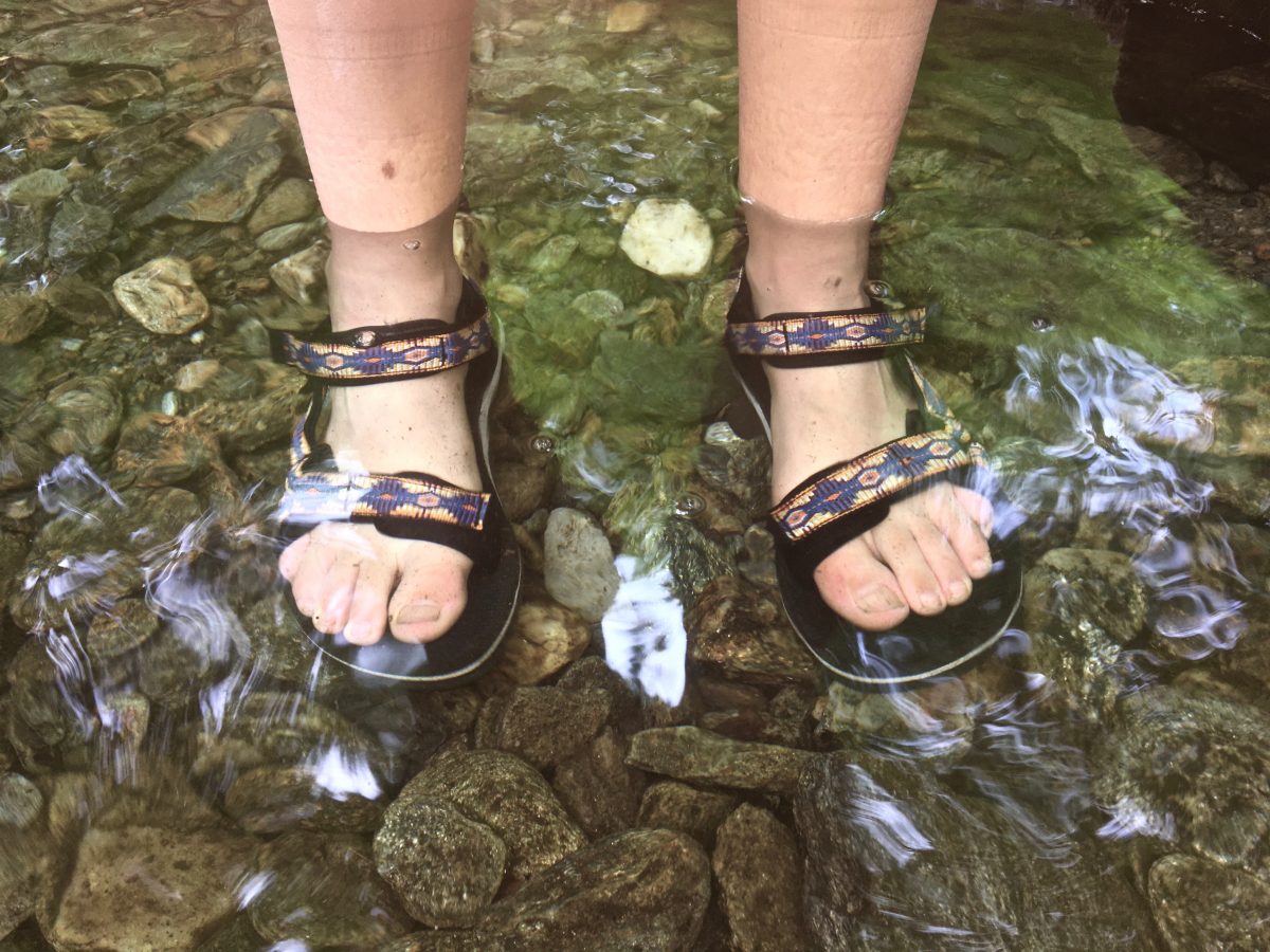 academy tevas