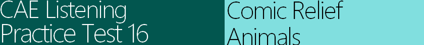 Dr. Katie R Evans Lyndhurst NJ, Podiatry, 160 Ridge Rd