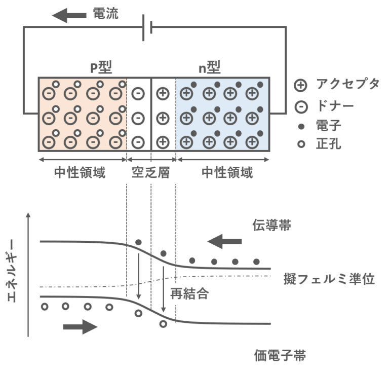 【半導体工学】pn接合とは (空乏層，擬フェルミ準位) enggy