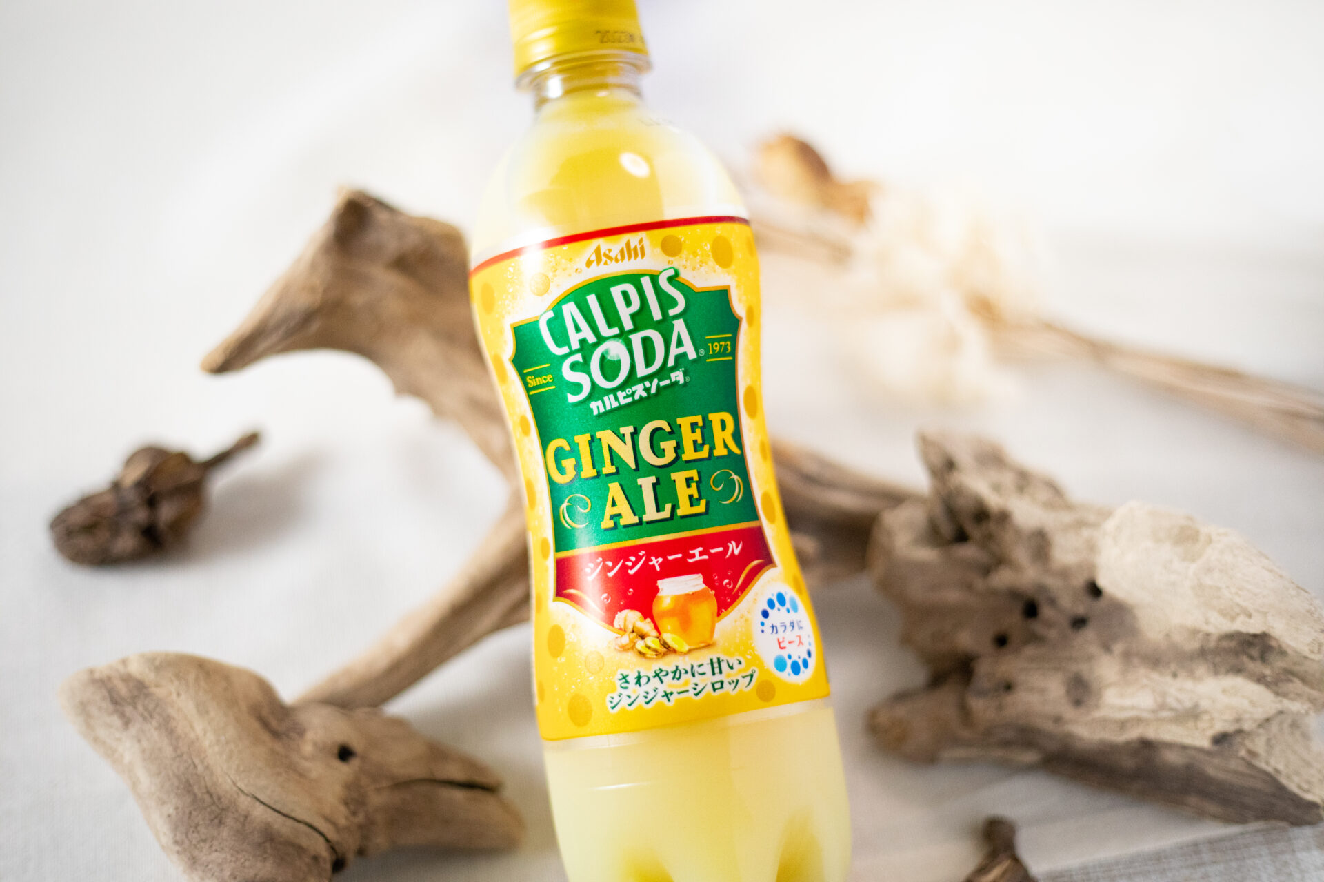 アサヒ飲料『「カルピスソーダ ジンジャーエール」PET500ml』はカルピスらしい甘酸っぱさとジンジャーの香りと辛味の相性が良い、まろやか