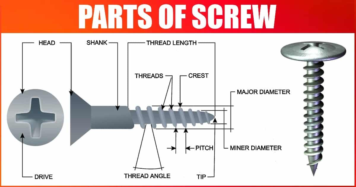 7 Parts of Screw and Their Function Guide] Engineering Learn