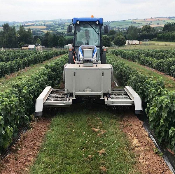 The Electric WeedZapper Renaissance