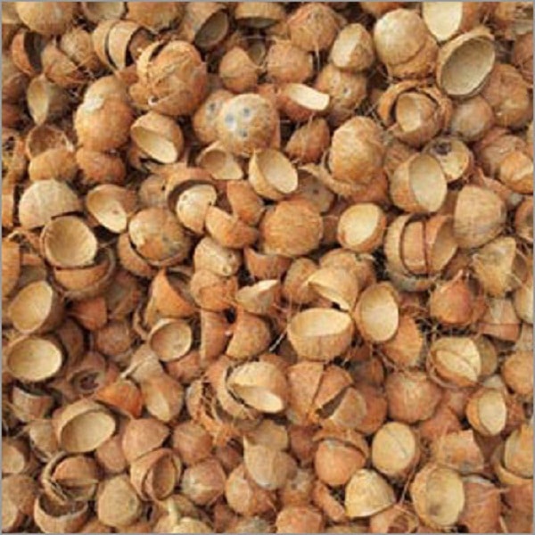 Behaviour Of Reinforced Concrete Beams With Coconut Shell As Coarse