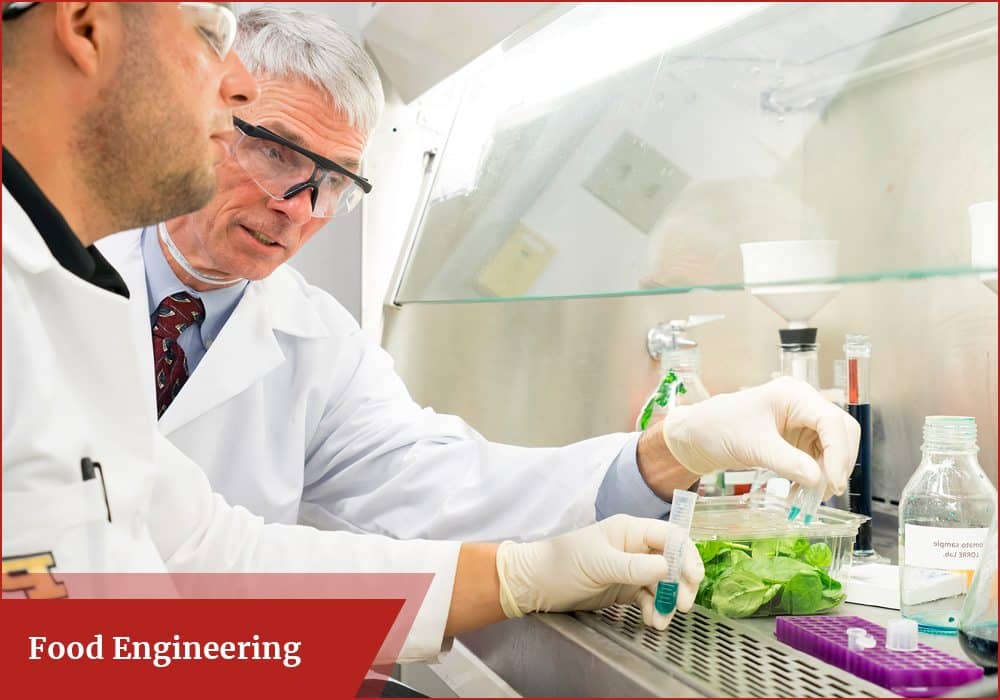 What is food engineering?