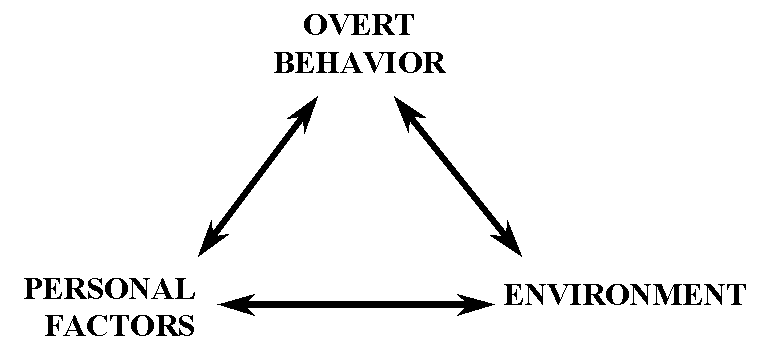 engl352 / psychological determinism